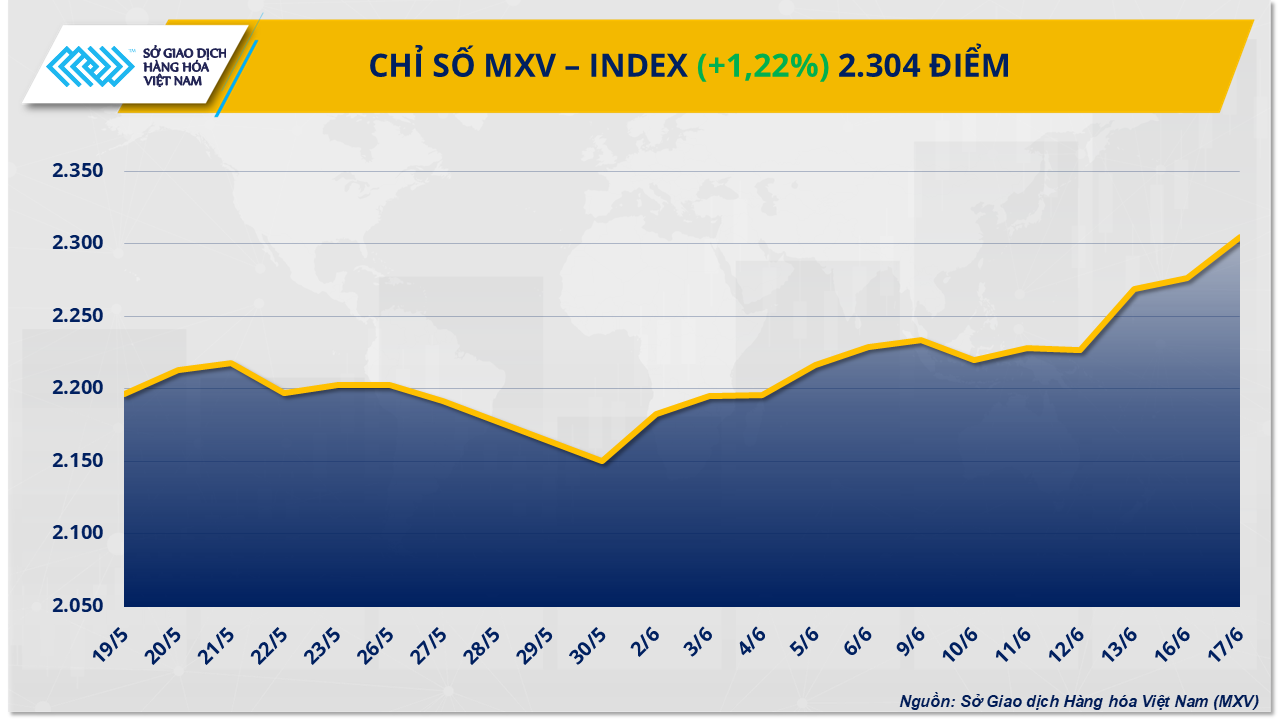 mxv-index-24-.png