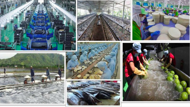 Cải cách chính sách thuế là một trong những phương thức hữu hiệu giúp khu vực kinh tế tư nhân phát triển. Ảnh: Chinhphu.vn
