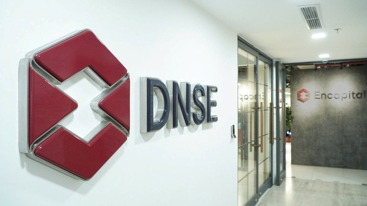 dnse.jpg