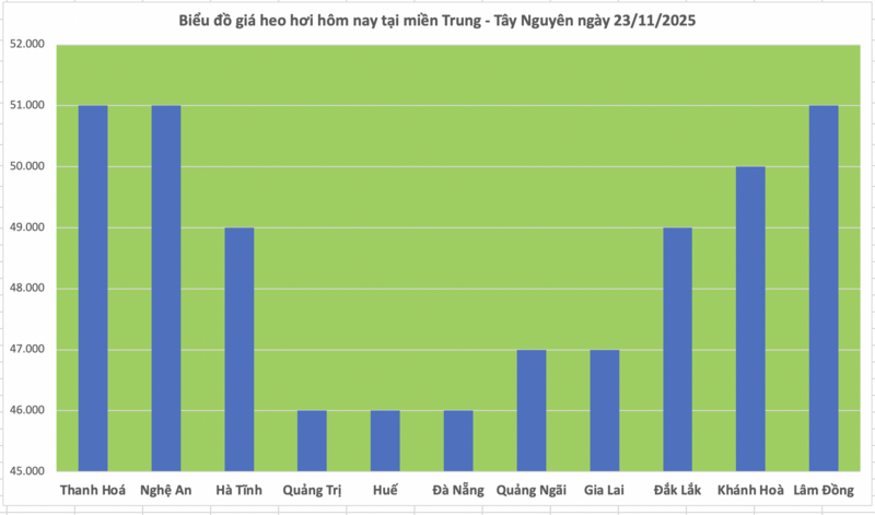 Giá heo hơi hôm nay 23/11/2025: Neo ở mức cao - 2