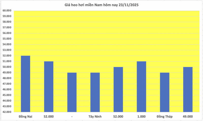 Giá heo hơi hôm nay 23/11/2025: Neo ở mức cao - 3