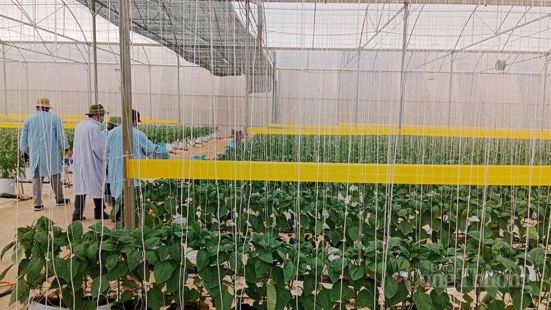 Mô hình nông nghiệp công nghệ cao tại tỉnh Lâm Đồng. Ảnh: Minh An