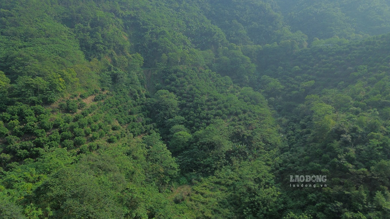 Nhiều diện nông nghiệp còn bị bỏ không, chưa được tận dụng. Ảnh: Đinh Đại