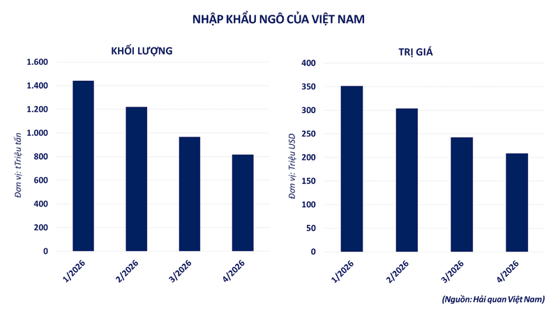 Nhập khẩu ngô của Việt Nam. Nguồn: MXV