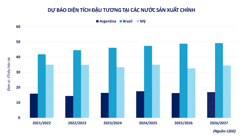 Dự báo diện tích đậu tương tại các nước sản xuất chính