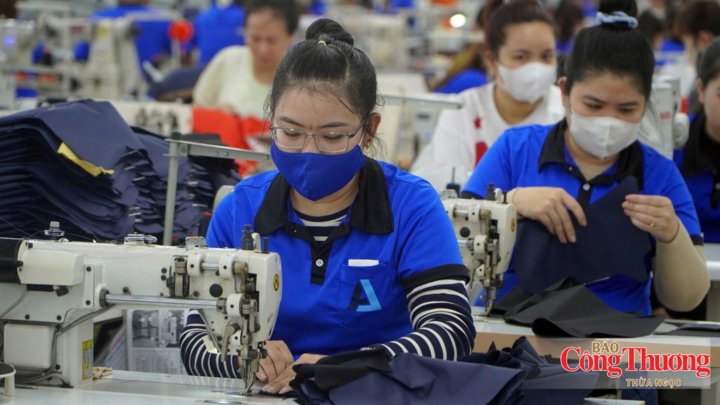 Nông sản và thực phẩm chế biến; hàng dệt may; giày dép; hàng tiêu dùng và đồ gỗ nội thất là nhóm hàng hóa được các chuyên gia khuyến nghị khi tiếp cận thị trường UAE.