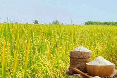 <a href="/thong-tin-thi-truong" title="Thông tin thị trường" rel="dofollow">Thông tin thị trường</a>