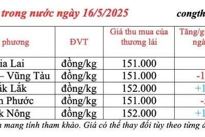 <a href="/thong-tin-thi-truong" title="Thông tin thị trường" rel="dofollow">Thông tin thị trường</a>