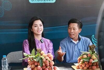 <a href="/kinh-doanh-online" title="Kinh doanh online" rel="dofollow">Kinh doanh online</a>
