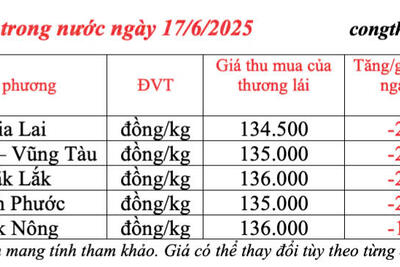<a href="/thong-tin-thi-truong" title="Thông tin thị trường" rel="dofollow">Thông tin thị trường</a>