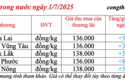 <a href="/thong-tin-thi-truong" title="Thông tin thị trường" rel="dofollow">Thông tin thị trường</a>
