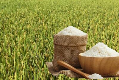 <a href="/thong-tin-thi-truong" title="Thông tin thị trường" rel="dofollow">Thông tin thị trường</a>