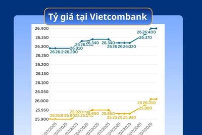 <a href="/vang-tien-te" title="Vàng - Tiền tệ" rel="dofollow">Vàng tiền tệ</a>