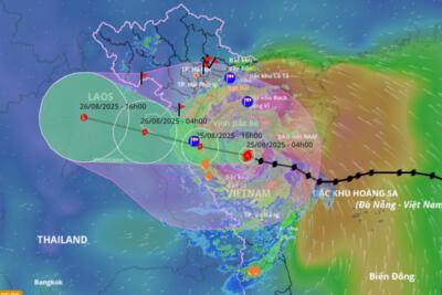 <a href="/trai-dat-xanh" title="Trái đất xanh" rel="dofollow">Trái đất xanh</a>