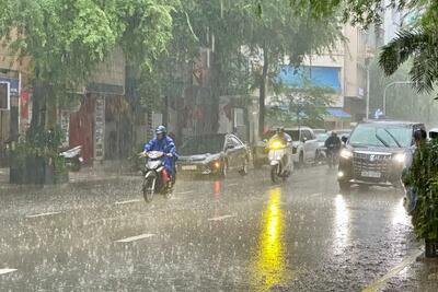 <a href="/trai-dat-xanh" title="Trái đất xanh" rel="dofollow">Trái đất xanh</a>