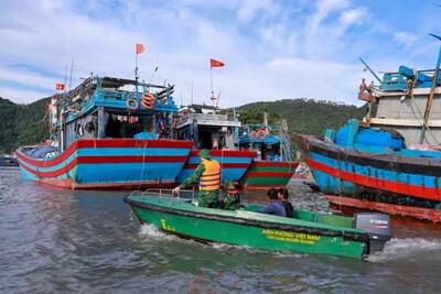 <a href="/trai-dat-xanh" title="Trái đất xanh" rel="dofollow">Trái đất xanh</a>