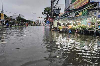 <a href="/trai-dat-xanh" title="Trái đất xanh" rel="dofollow">Trái đất xanh</a>