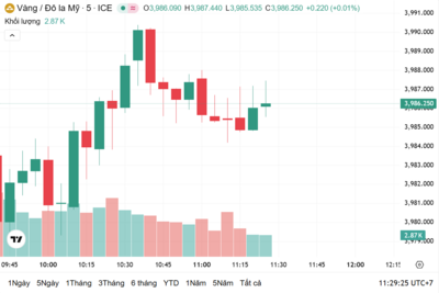 <a href="/vang-tien-te" title="Vàng - Tiền tệ" rel="dofollow">Vàng tiền tệ</a>