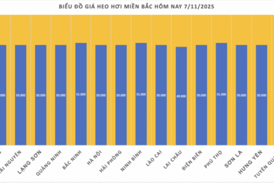 <a href="/thong-tin-thi-truong" title="Thông tin thị trường" rel="dofollow">Thông tin thị trường</a>