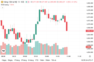 <a href="/vang-tien-te" title="Vàng - Tiền tệ" rel="dofollow">Vàng tiền tệ</a>