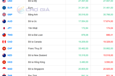 <a href="/vang-tien-te" title="Vàng - Tiền tệ" rel="dofollow">Vàng tiền tệ</a>