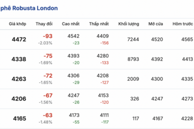 <a href="/thong-tin-thi-truong" title="Thông tin thị trường" rel="dofollow">Thông tin thị trường</a>