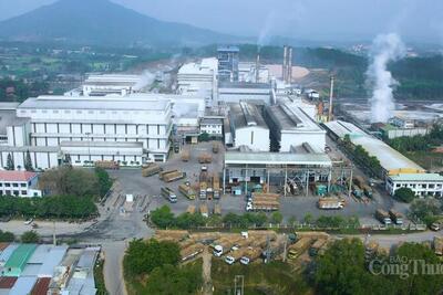 <a href="/tin-doanh-nghiep" title="Tin doanh nghiệp" rel="dofollow">Tin doanh nghiệp</a>