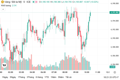 <a href="/vang-tien-te" title="Vàng - Tiền tệ" rel="dofollow">Vàng tiền tệ</a>