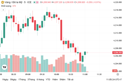 <a href="/vang-tien-te" title="Vàng - Tiền tệ" rel="dofollow">Vàng tiền tệ</a>