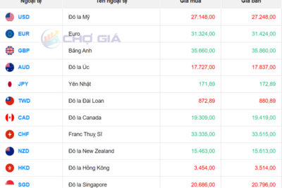 <a href="/vang-tien-te" title="Vàng - Tiền tệ" rel="dofollow">Vàng tiền tệ</a>