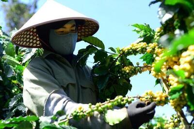 <a href="/thong-tin-thi-truong" title="Thông tin thị trường" rel="dofollow">Thông tin thị trường</a>