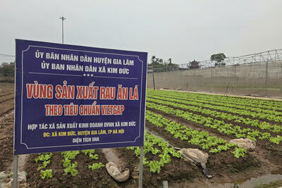 <a href="/tin-doanh-nghiep" title="Tin doanh nghiệp" rel="dofollow">Tin doanh nghiệp</a>