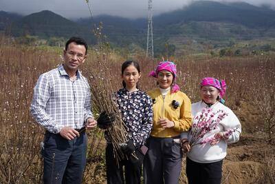 <a href="/kinh-doanh-online" title="Kinh doanh online" rel="dofollow">Kinh doanh online</a>