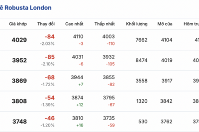 <a href="/thong-tin-thi-truong" title="Thông tin thị trường" rel="dofollow">Thông tin thị trường</a>