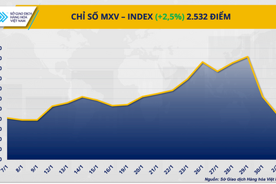 <a href="/vang-tien-te" title="Vàng - Tiền tệ" rel="dofollow">Vàng tiền tệ</a>