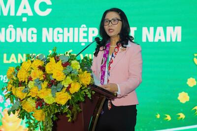 <a href="/kinh-doanh-online" title="Kinh doanh online" rel="dofollow">Kinh doanh online</a>