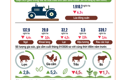 <a href="/tin-doanh-nghiep" title="Tin doanh nghiệp" rel="dofollow">Tin doanh nghiệp</a>