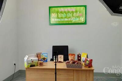 <a href="/kinh-doanh-online" title="Kinh doanh online" rel="dofollow">Kinh doanh online</a>