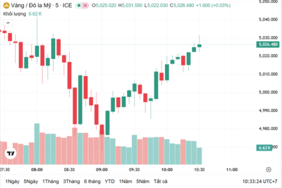 <a href="/vang-tien-te" title="Vàng - Tiền tệ" rel="dofollow">Vàng tiền tệ</a>