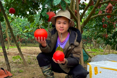 <a href="/thong-tin-thi-truong" title="Thông tin thị trường" rel="dofollow">Thông tin thị trường</a>