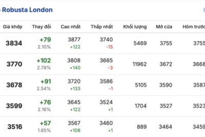 <a href="/thong-tin-thi-truong" title="Thông tin thị trường" rel="dofollow">Thông tin thị trường</a>