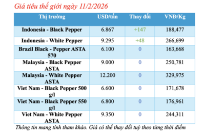 <a href="/thong-tin-thi-truong" title="Thông tin thị trường" rel="dofollow">Thông tin thị trường</a>