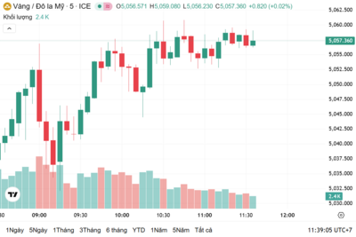 <a href="/vang-tien-te" title="Vàng - Tiền tệ" rel="dofollow">Vàng tiền tệ</a>