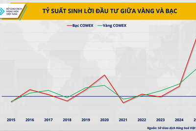 <a href="/vang-tien-te" title="Vàng - Tiền tệ" rel="dofollow">Vàng tiền tệ</a>