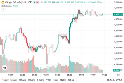 <a href="/vang-tien-te" title="Vàng - Tiền tệ" rel="dofollow">Vàng tiền tệ</a>