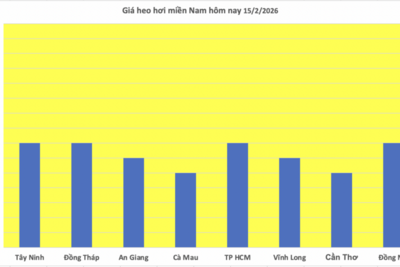 <a href="/thong-tin-thi-truong" title="Thông tin thị trường" rel="dofollow">Thông tin thị trường</a>