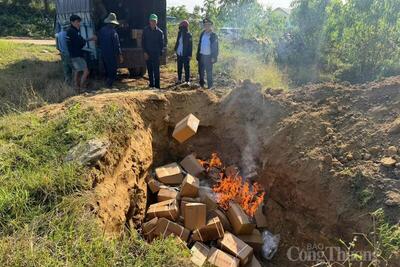 <a href="/thong-tin-thi-truong" title="Thông tin thị trường" rel="dofollow">Thông tin thị trường</a>