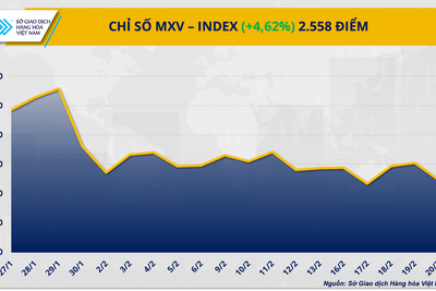 <a href="/thong-tin-thi-truong" title="Thông tin thị trường" rel="dofollow">Thông tin thị trường</a>