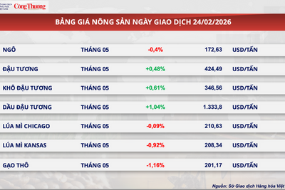 <a href="/thong-tin-thi-truong" title="Thông tin thị trường" rel="dofollow">Thông tin thị trường</a>