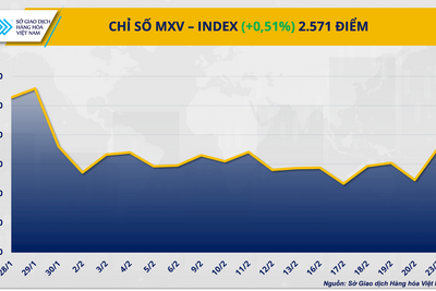 <a href="/thong-tin-thi-truong" title="Thông tin thị trường" rel="dofollow">Thông tin thị trường</a>